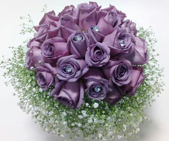 Hora de escolher *__* - 7