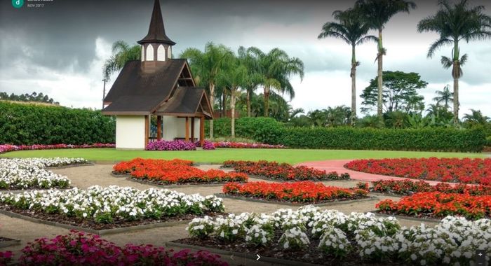 Lugares para pré wedding na região de Joinville/sc 1