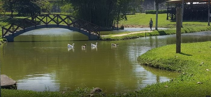 Lugares para pré wedding na região de Joinville/sc 7