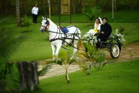 Carruagem  -  charrete