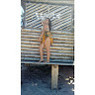 Lary