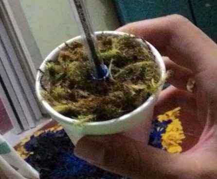 Esse é o vasinho que vou colocar a caneta (não tenho foto dele junto com a caneta pronta pq os vasin
