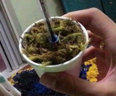 Esse é o vasinho que vou colocar a caneta (não tenho foto dele junto com a caneta pronta pq os vasin