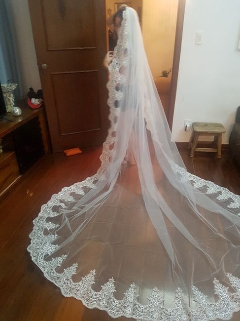 Meu véu do Aliexpress chegou! #vemver - 3