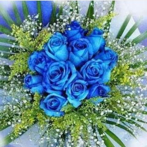 Festa in blue - 1