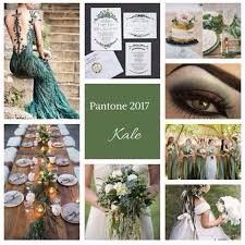 KALE- VERDE COUVE 