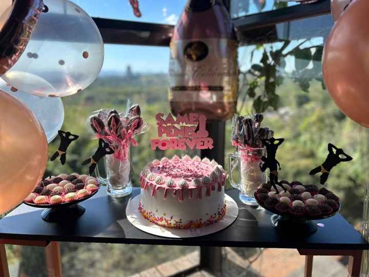 Minha Despedida de Solteira - 3