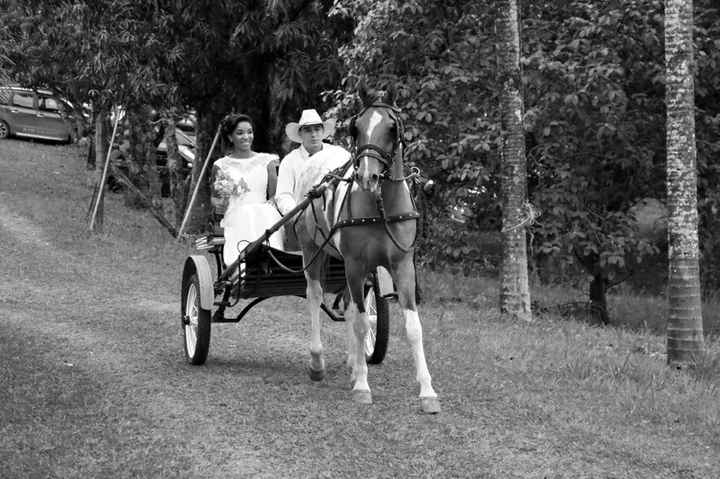 Primeiras fotos casamento country - 5