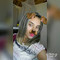 Thaynah