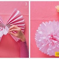 Pompom 
