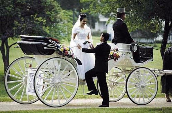 Se eu fosse rica, meu casamento seria assim...#vemriqueza 9