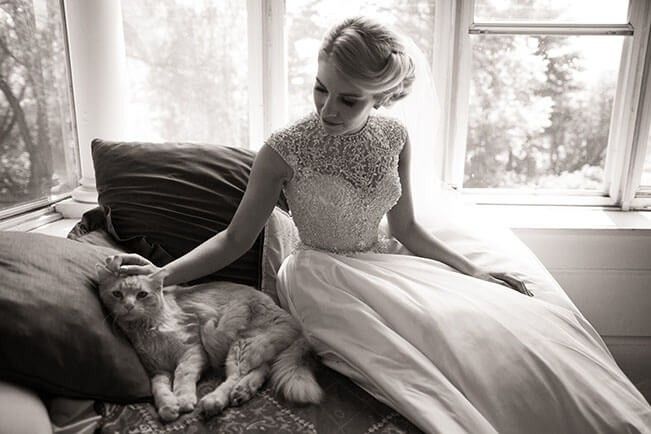 Como incluir seu gato no casamento? 8