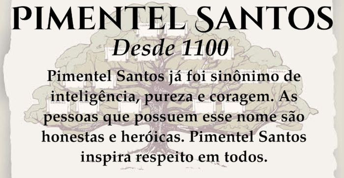 Seremos a família Pimentel Santos 2
