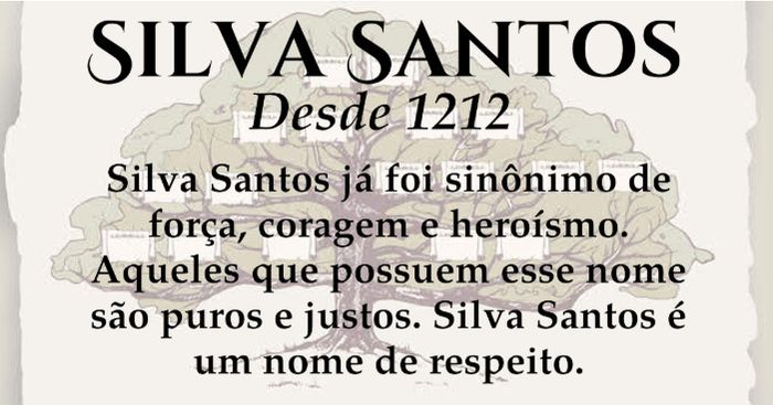 Seremos a família Silva Santos 2