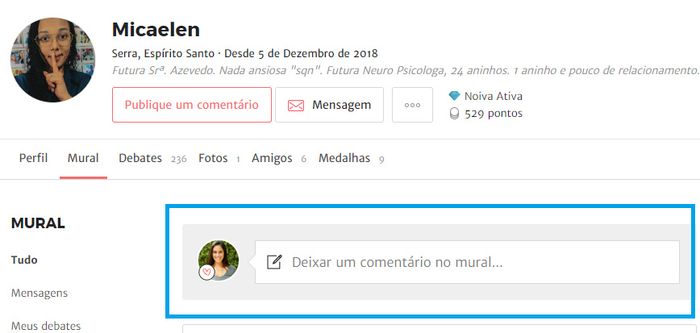 Como usar o mural e deixar recados a outr@s noiv@s? 5