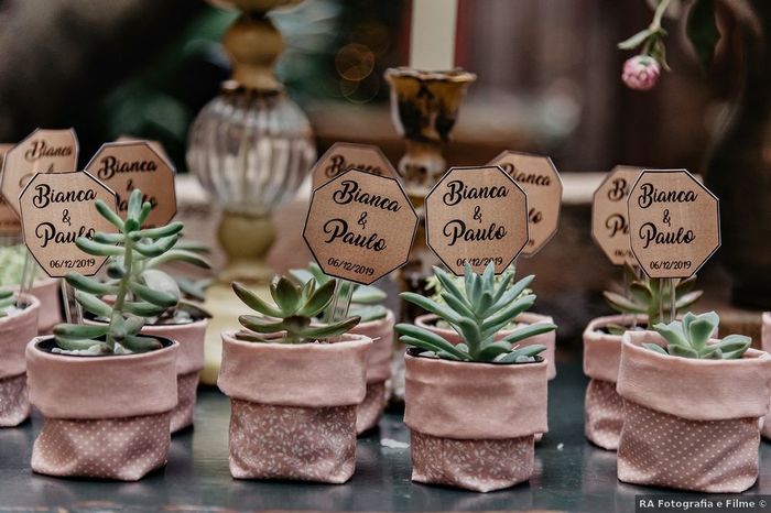 Sua lembrancinha será decorativa ou uma mini planta? 2