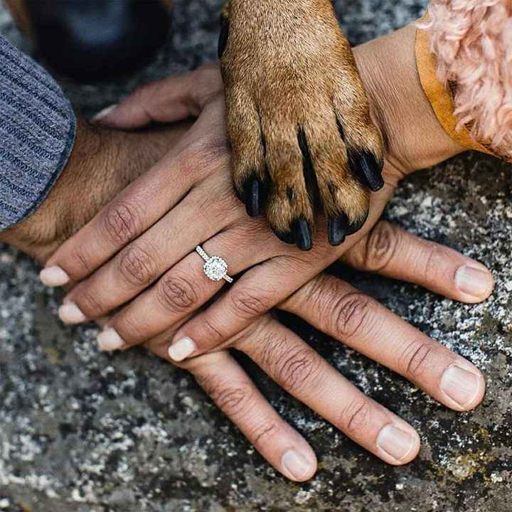 As mais lindas formas de fotografar a aliança! - 6