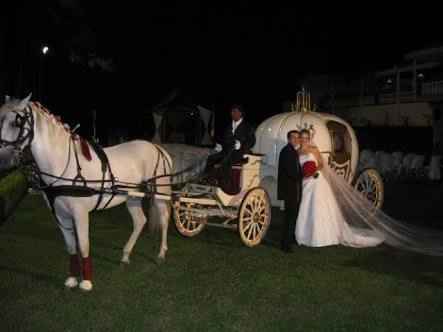 Preços e fotos de limousine,carruagem e helicóptero para chegada da noiva - 13