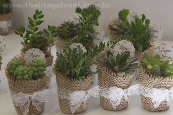 Lembrancinha de cactus