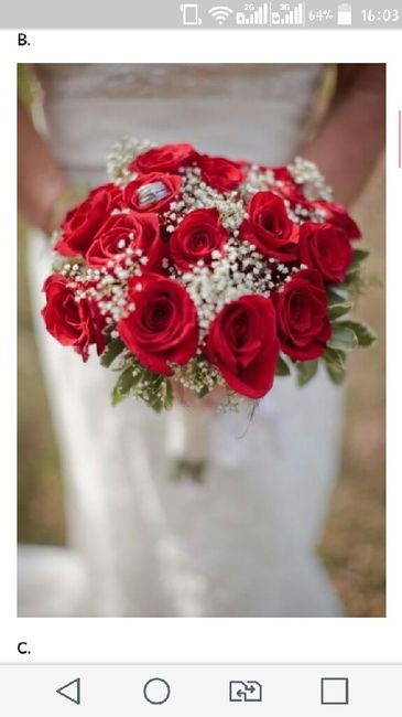 Meu casamento nas cores clássicas ( aline gabrieli) - 5