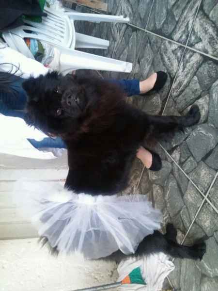 Uma princesa - 1