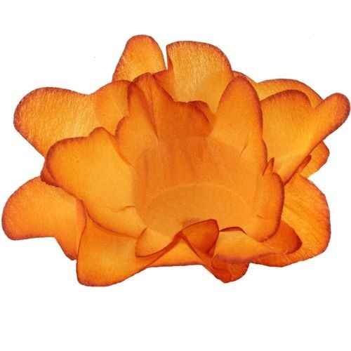 Forminhas para doces