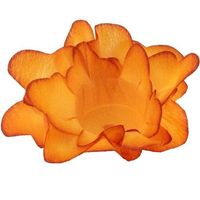 Forminhas para doces