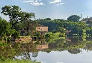Floresta Nacional de Ipanema
