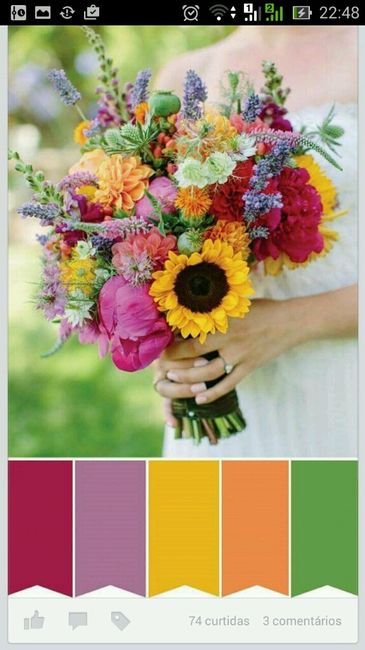 Qual a paleta de cores que vcs escolheram? - 1