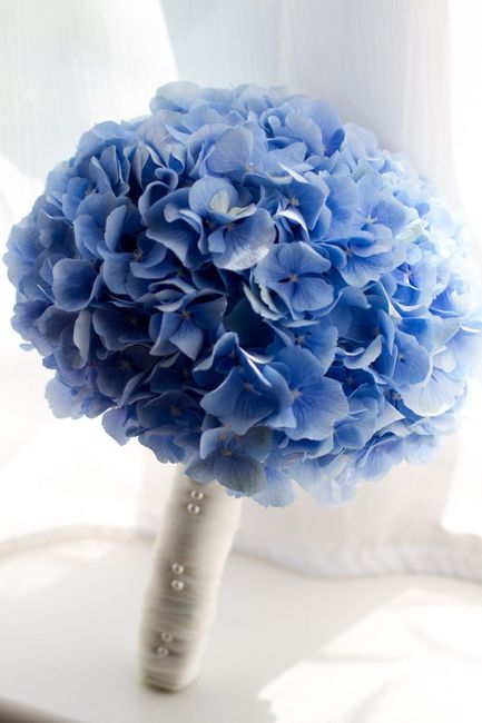 Buquês de flores azuis! #NovembroAzul 7