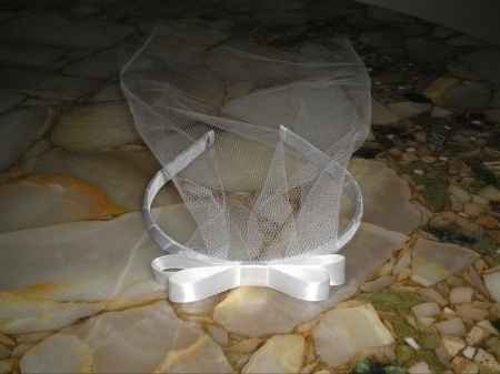 Tiara Mini Véu