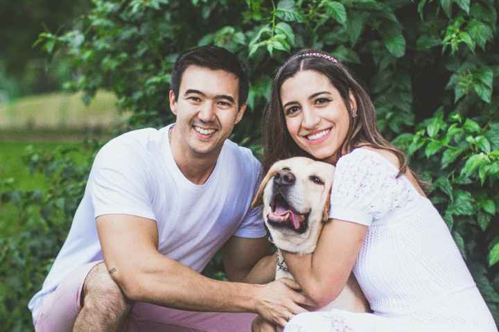 Ensaio com nossos filhos de 4 patas - 2