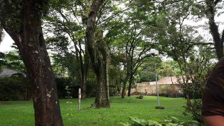 Meus fornecedores em são paulo-sp" - 2