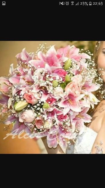Organizando meu casamento faltando 255 dias - laura - 10
