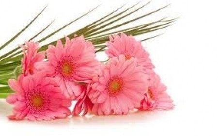 Bouquet de Margaridas