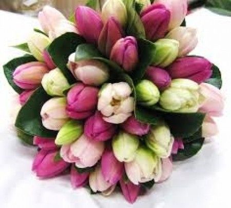 Buquet BiColors