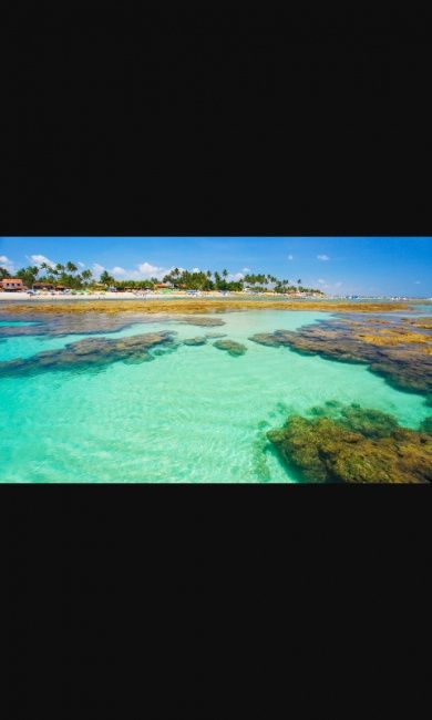 Porto de galinhas-qm conhece? qm ja foi? - 1