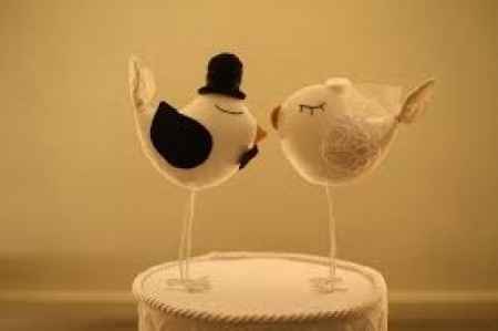 Passarinhos... q encanto *-*