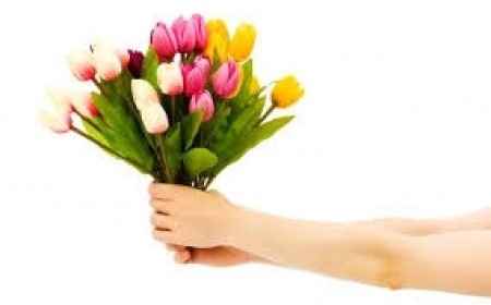 Bouquet de Tulipas