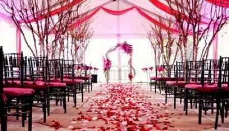 Nave PINK