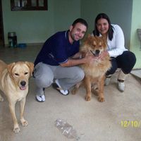 1ª foto de namoro