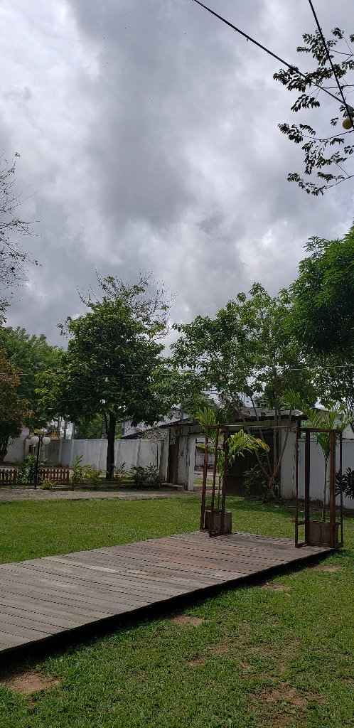 Um pedaço do caminho da noiva "vista da casa pra fora"
