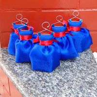 sache - vestido madrinhas