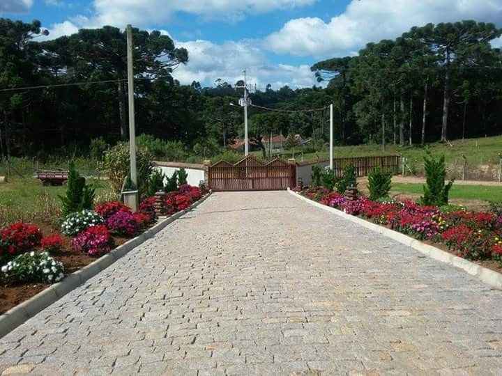 Meu Casamento - 6