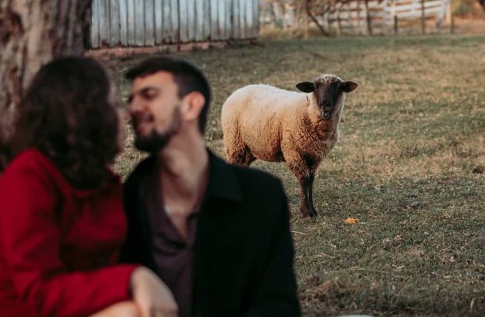 Meu Pré Wedding - 6