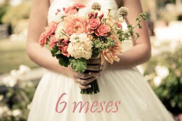 Os 6 meses tão esperados *----* - 1