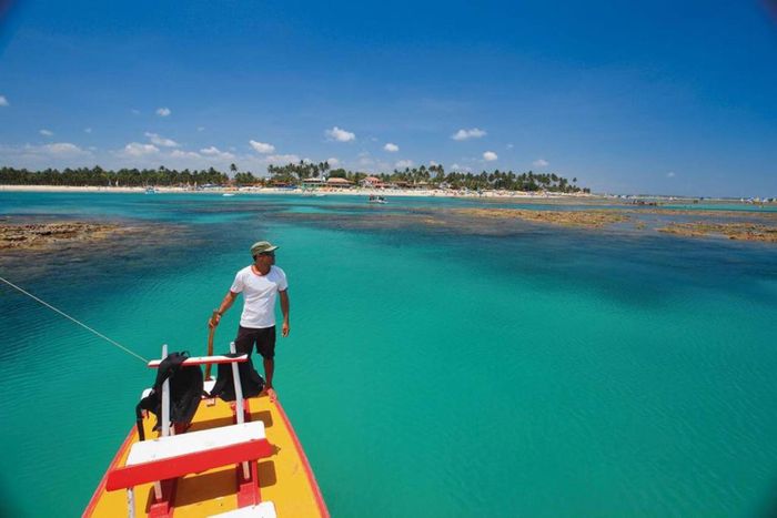 Lua de mel em Porto de Galinhas #vemver - 5