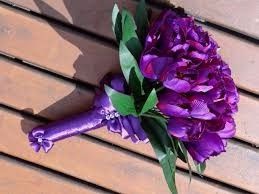 Tulipas 