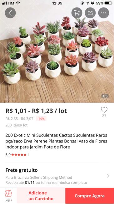 Mini suculentas onde comprar? 2