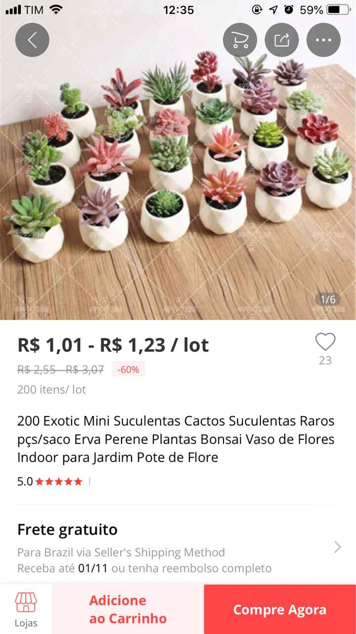 Mini suculentas onde comprar? - 1